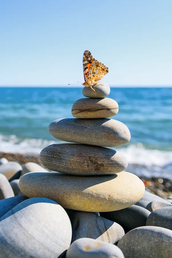 A butterfly atop a stack of stones. Get NAC Vitamin Injection treatment from Christine Collins, MD in Westside/Beverly Hills.