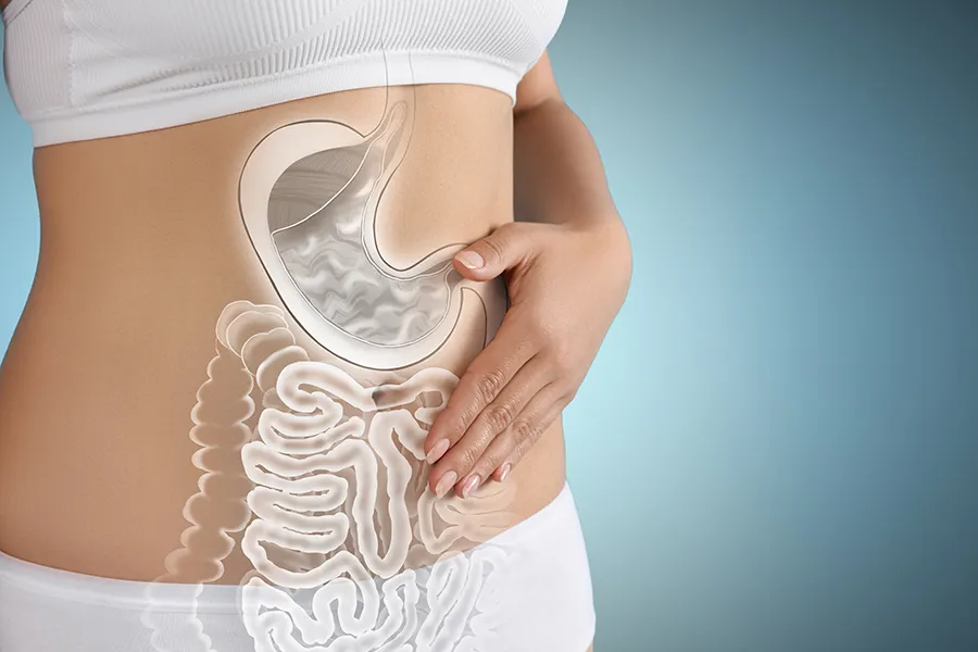 Close up of the midriff of a woman with white underwear and an illustration of the digestive system superimposed over the image. Get help for digestive issues and gut health from Frank Lanzisera, D.C. in Tampa Bay Metro.