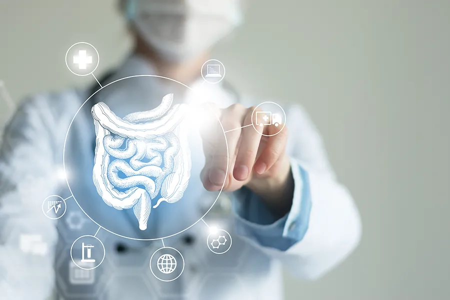 Frank Lanzisera, D.C. provides advanced Functional Medicine for Leaky Gut Syndrome treatments in Tampa Bay Metro, shown by a doctor touching a glowing digital intestinal health display.