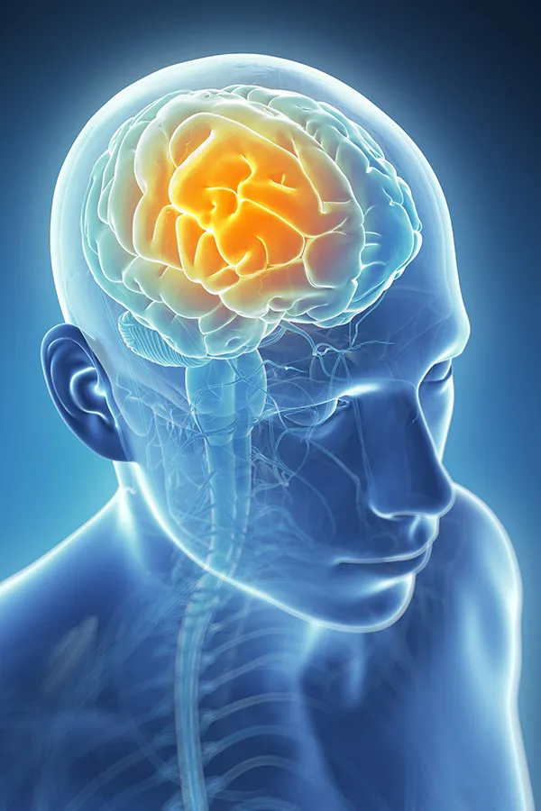 3D illustration of the brain with glowing pain center. Frank Lanzisera, D.C. treats migraines using functional medicine in Tampa Bay Metro.