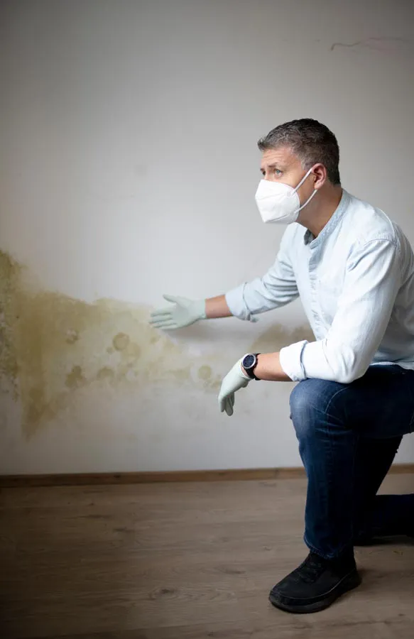 A building professional in a protective mask points out mold damage on a wall. Get treatment for mold and mycotoxin illness from Frank Lanzisera, D.C. in Tampa Bay Metro.