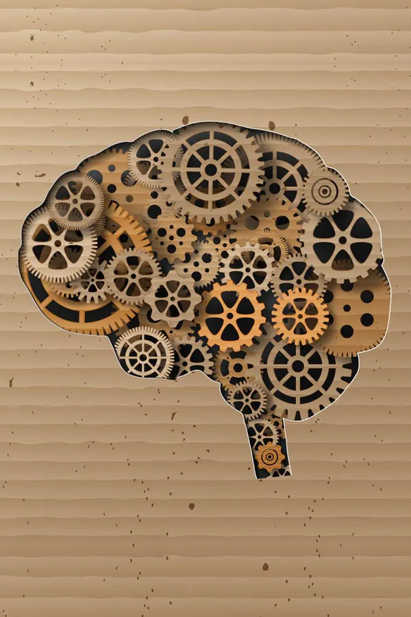 An illustration of a brain cut out of cardboard, with wooden cogs inside, representing neurodegenerative diseases treated by Frank Lanzisera, D.C. in Tampa Bay Metro.