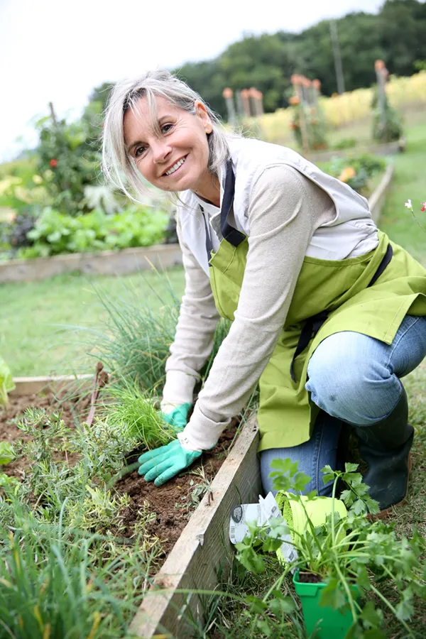 A mature woman bending down working on her garden happily after successful rheumatoid arthritis treatment from Frank Lanzisera, D.C. in Tampa Bay Metro.